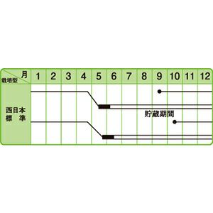 玉ねぎ 種 【 豊産こがね 】 100ｇ