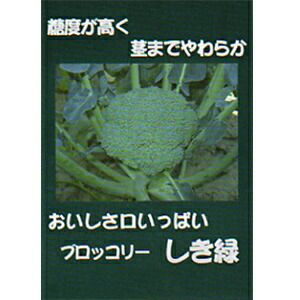 ブロッコリー 種 【 しき緑96号 】 2500粒 ( ブロッコリーの種 )