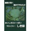 ブロッコリー 種 【 しき緑96号 】 2500粒 ( ブロッコリーの種 )