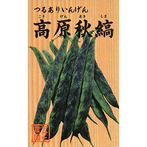 インゲン 種 【 つる有り菜豆　高原秋縞 】