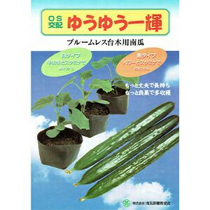 その他 種 【 台木ゆうゆう一輝　黒タイプ 】 50粒 ( その他の種 )