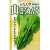 葉菜 種 【 葉菜類　山ほうれん草 】