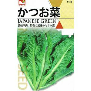 葉菜類 種 【 かつお菜 】