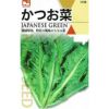 葉菜類 種 【 かつお菜 】