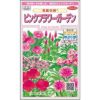 花絵の具 種 【 ピンクフラワーガーデン 】 実咲