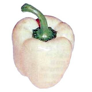 ピーマン 種 【 カラーピーマン　カラピークリーム 】 （0．1ml） ( ピーマンの種 )