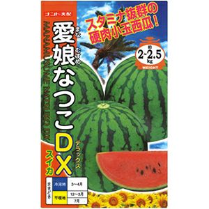 スイカ 種 【 愛娘なつこDX 】 200粒 ( スイカの種 )