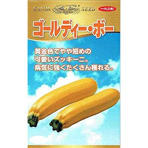 ズッキーニ 種 【 ゴールディ・ボー 】 10粒 ( ズッキーニの種 )
