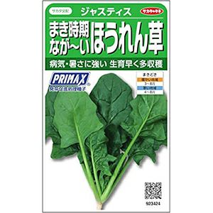 ホウレンソウ 種 【 まき時期なが～いほうれん草　ジャスティス 】 実咲