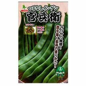 インゲン 種 【 つるなし菜豆　官兵衛 】 1L ( インゲンの種 )