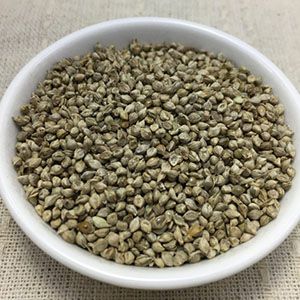 穀類 種 【 白ひえ 】 1kg ( 穀類の種 )