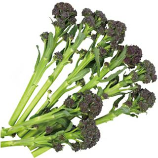 茎ブロッコリー 種 【 紫セニョーラ 】 実咲