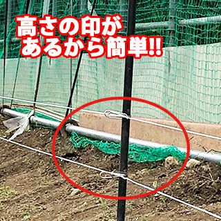 グラスファイバー電柵支柱　ステン碍子２Ｐ　目印付　１４φ×９００ｍｍ 防獣 害獣 対策