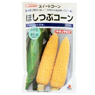 トウモロコシ 種 【ほしつぶコーン】 200粒（ 種 野菜 野菜種子 野菜種 ）