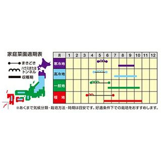 オクラ 種 【 大奥 】 小袋 ( オクラの種 )