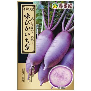 大根 種 味ぴかいち紫 2ｍｌ 約130粒 種 野菜 野菜種子 野菜種 菜園くらぶ 種と苗と園芸資材の専門店