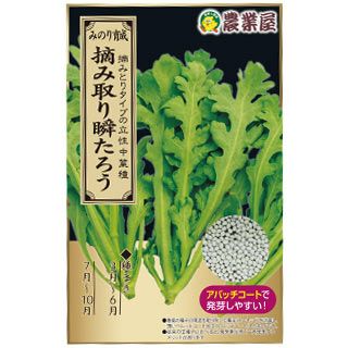 シュンギク 種 【 摘み取り瞬たろう 】 小袋(30ml) ( 春菊の種 )