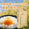 【送料無料】【 令和4年産 】新米 三重県産 コシヒカリ 玄米 良質米「極み」 30kg お米 コメ こしひかり