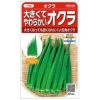 オクラ 種 【 大きくてやわらかいオクラ ビッグスティック 】 小袋 ( 野菜の種 )