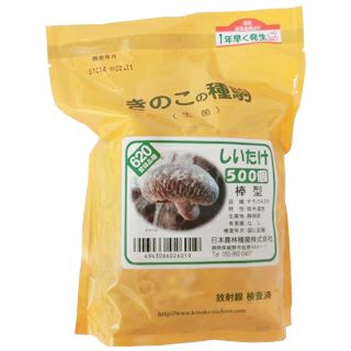 きのこ栽培 【 しいたけ種菌 種駒 500入り（品種：すその620） 】