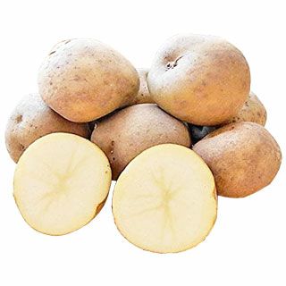 じゃがいも 種芋 【予約】 【 きたかむい 1kg 入り】