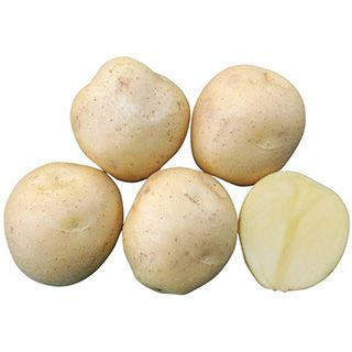 馬鈴薯 | 菜園くらぶ 種と苗と園芸資材の専門店