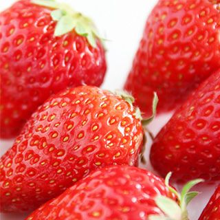 ちご苗 野菜苗 【イチゴ苗 東京おひさまベリー】3号ポット