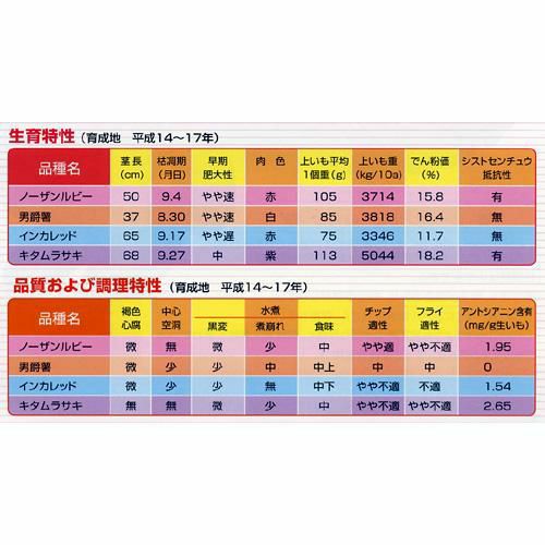  じゃがいも 種芋 【予約】 【 ノーザンルビー 500g 入り】