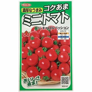 【 ミニトマト キャロルパッション（ミニ） 】 小袋 ( トマトの種 )