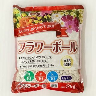 フラワーボール　2kｇ