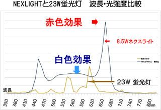  ハウス用　被覆クスプリング　２ｍ　Φ２．０　400本入