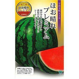 スイカ 種 【 ほお晴れプレミアム 】 100粒 ( スイカの種 ) （シードレス）
