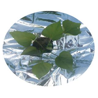 シルバーアルミ反射マルチ　厚み0.02mm×幅95cm×長さ50ｍ 菜園用