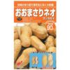 落花生 種 【 おおまさりネオ（むき実） 】 30ｍｌ ( ラッカセイの種 )