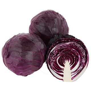 キャベツ苗 レッドブライト 6本セット【予約販売】 野菜苗