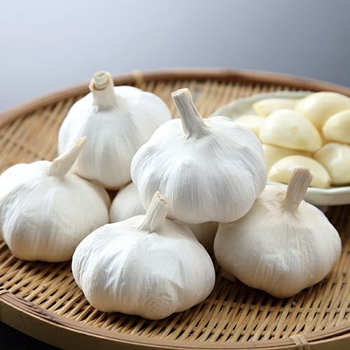  にんにく ホワイト種ニンニク 種球 約400g 【国産】