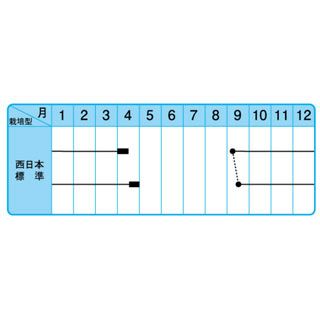 たまねぎ 種 【アーリートップ】 10ｇ