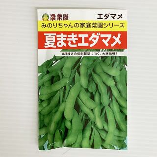 エダマメ 種 【 夏まきエダマメ 】 小袋 ( 枝豆の種 )
