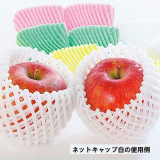 ネットキャップ 白　Ｗ－90Ｗ　100枚入 出荷資材