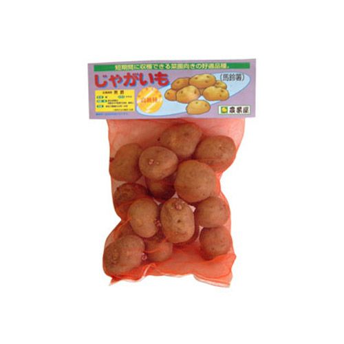 じゃがいも 種芋 【 高級男爵 500g 入り】