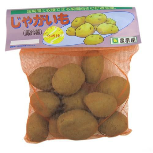 じゃがいも 種芋 【予約】 【 北海黄金(ほっかいこがね)