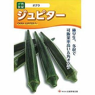オクラ 種 【 ジュピター 】 1ｄｌ ( オクラの種 )