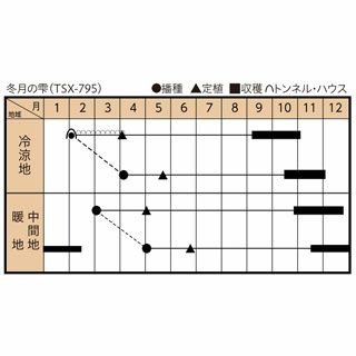 ネギ 種 【 冬月の雫 】 1ｄｌ